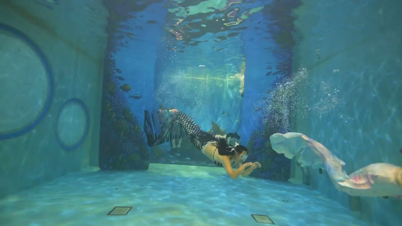 20260905海科人魚進場2 - YouTube