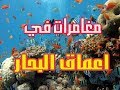 القصة الرائعة :مغامرات في اعماق البحار  Adventures in the deep sea