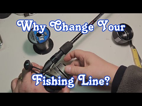 fishing rod holders cabelas Driftmaster Pro or L'il Pro Rod Holder