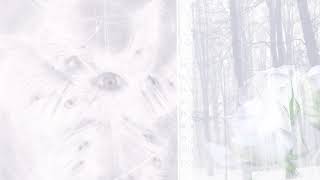 ╰┈➤ 🦢 calm / soft edit audios because it’s the holidays ⟡ ݁₊ . screenshot 5