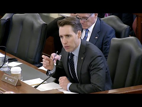 Sen. Hawley discusses vulnerabilities in the US medical supply chain and dependence on China