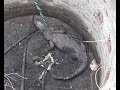 This crocodile rescued from well !