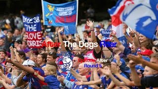 After The Dogs Roar 2016 - Episode After Round 5