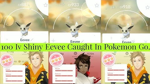 100 Iv Shiny Eevee Caught During Community Day | Shundo Eevee Caught In Pokemon Go | Shundo Eevee