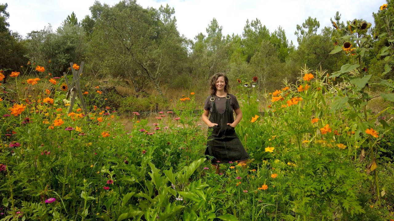 The Abundance of Summer on Our Portuguese Homestead