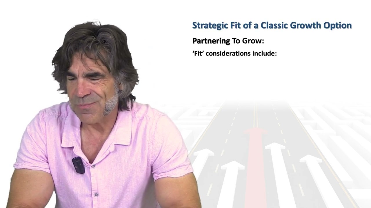 Strategy Partner/Option 'Fit Factors'  - Strategy Steven Litt