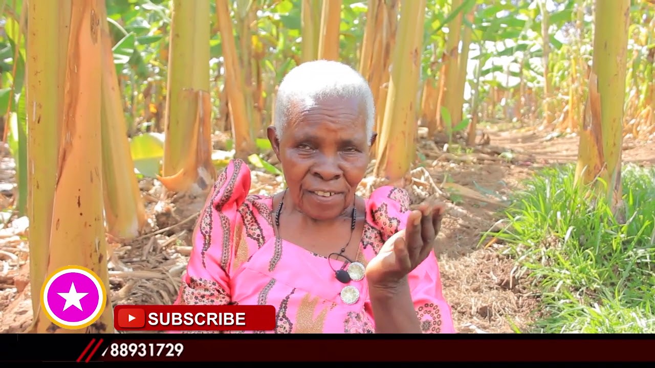 EBYAFAAYO BYA BASUDDE  BYEWUNYISA-MAAMA