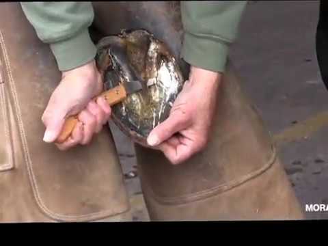 How to use a hoof knife with Chris Gregory