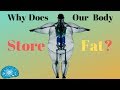 Why does our body store Fat? | SmartnSuper