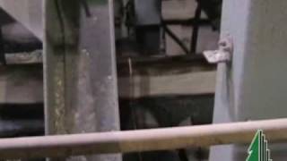 SiCam Canter Quad Real-time Lumber Size Control
