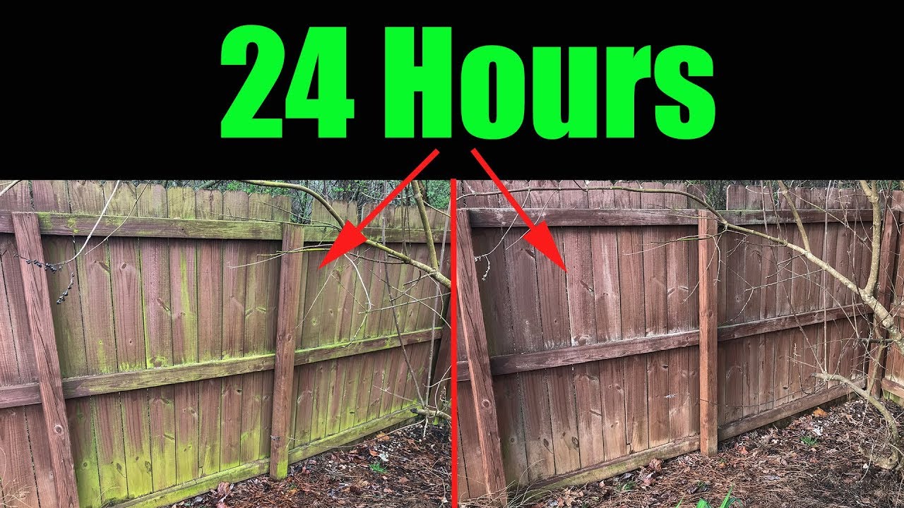 How To Remove Moss From Fence