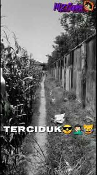 Story wa tercyiduk bolos