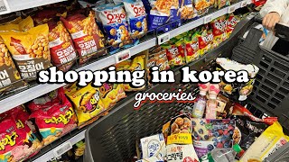 shopping in korea vlog 🇰🇷 grocery food haul with prices 🍑 cheap or expensive? 💸💸