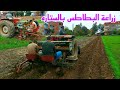 الميكنه🚜ريحت الفلاح 🪓كتير زراعة البطاطس🥔 بالستاره