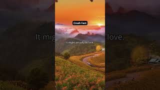 Unravel the mysteries of long-term crushes and love.