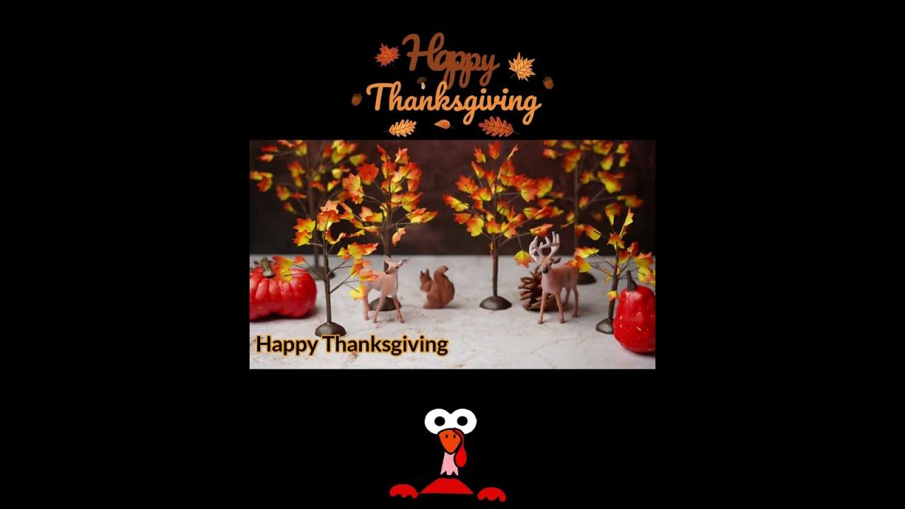Vrbo thanksgiving specials