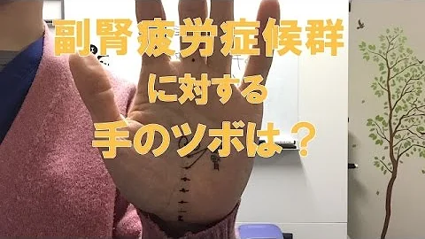 腎臓 ツボ 手 تحميل Download Mp4 Mp3 腎臓 ツボ 手 تحميل Download Mp4 Mp3