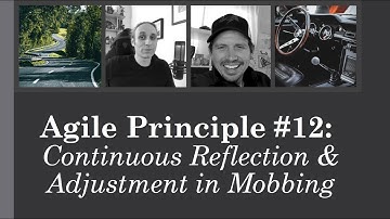 Agile Principle #12: Continuous Reflection & Adjustment in Mobbing