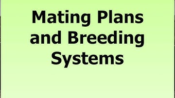 Lecture 5 Part 4- Genetic Strategies for Beef Cattle