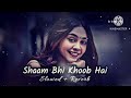 Shaam bhi khoob hai slowedreverb  kumar sanu alka yagnik lofi trending kumar sanu