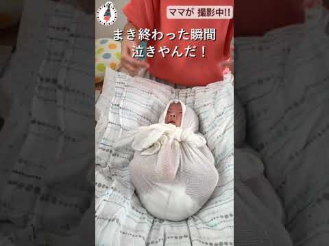 【show】マトリョーシカまき（おひなまき）で泣きやむ赤ちゃん