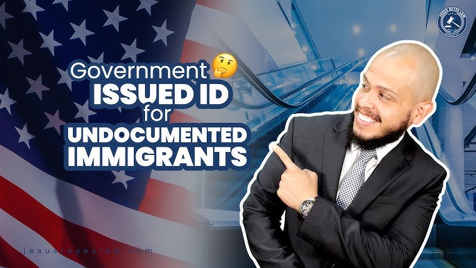 The REAL ID: What to Know – IMMIGRANTS RISING