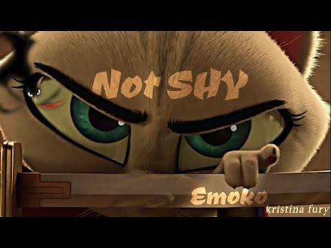 Not Shy /