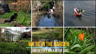 Our mid-week day ♥ In the Garden and at Lake by Lynn B 110 views 2 months ago 3 minutes, 54 seconds