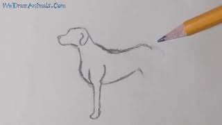 How to Draw a Dog In 5 EASY Steps  GREAT for Kids & Beginners