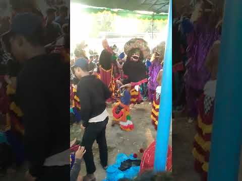 Reog Kesurupan Semua