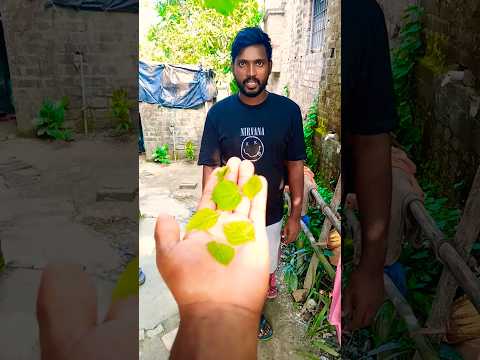 سيب وحده يا عمو