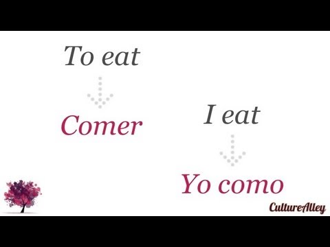 Basic Spanish | Lesson 8 | Forms Of Regular Verbs (conjugation) - Get Your Verbs Right!