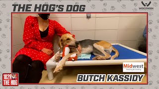 THE HOG's Dog - February 9th, 2021