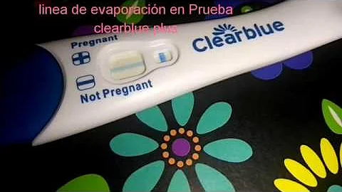 ¿Cómo es una línea de evaporación Clearblue?