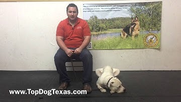 My Greatest Weakness as a trainer