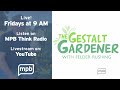 The Gestalt Gardener - November 1, 2024