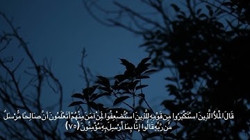 ماتيسر من سورة الأعراف | القارئ: محمد الجوعي