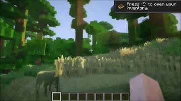 Minecraft 1.5.1 Shaders Mod Testing