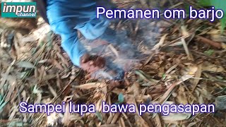 Until I forgot to bring a fumigator #Apisdorsata #Lebahodeng #