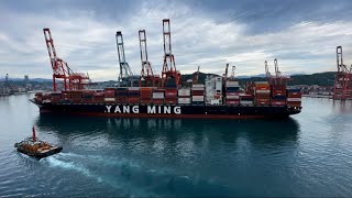 Ym Ubiquity Yang Ming Container Ship