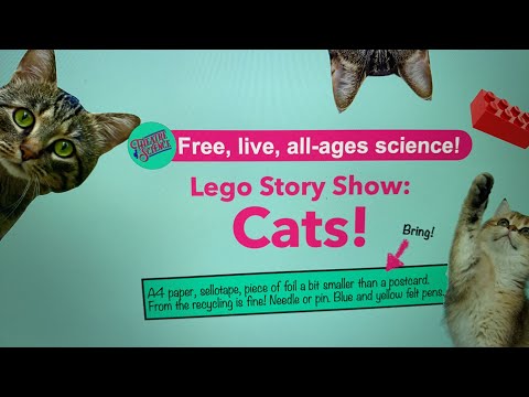 Lego Show: Cats!