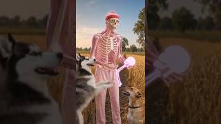 Skeleton & Dogs in Wheat Field 😂🌾
