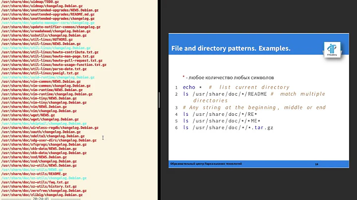 IT academy. How to use globbing