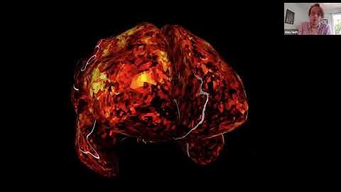 NeuroHackademy: Alex Huth - Word embeddings as priors for language encoding models