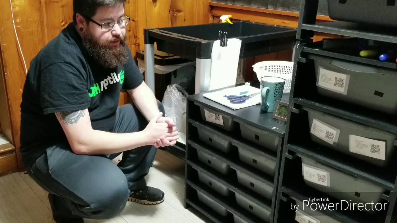 breeders movie DragonHaus MFG Snake Rack.. My opinion