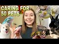 My Morning Pet Care Routine For 50 Pets! | Vlog