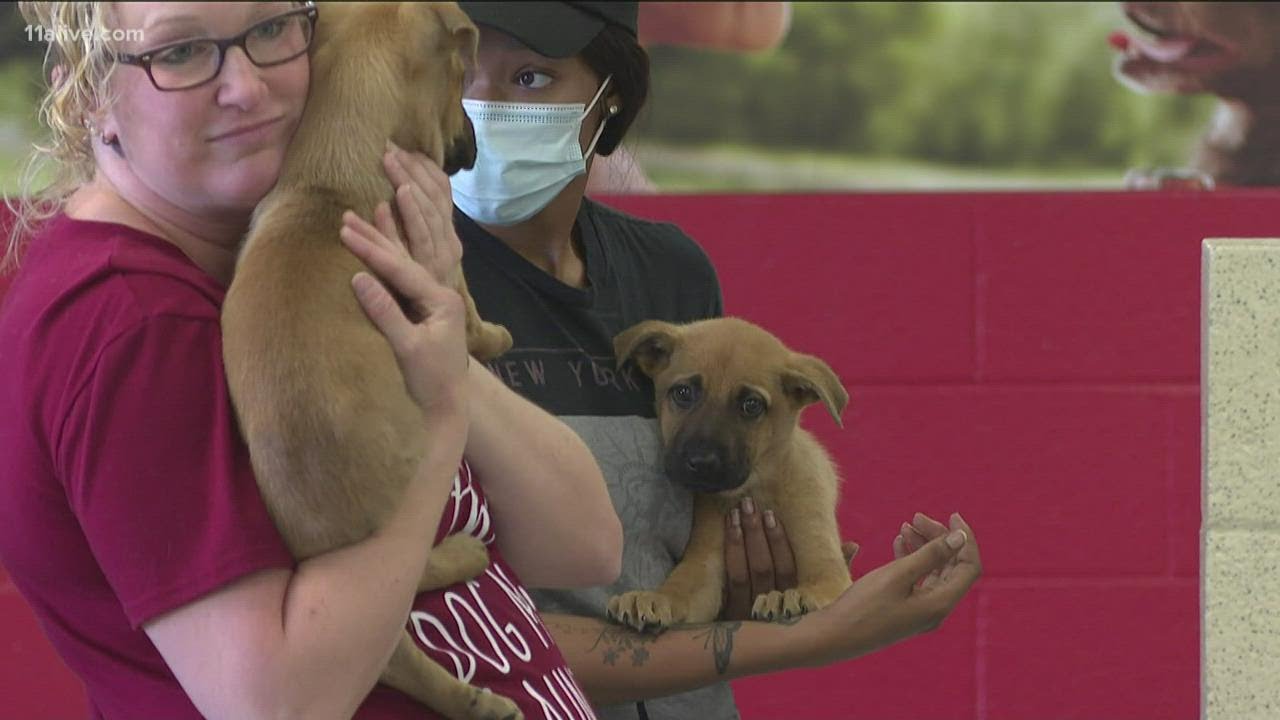 Atlanta Human Society opens new program to put more pets in permanent homes