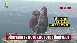Dünyanın en büyük horozu Türkiye'de Resimi