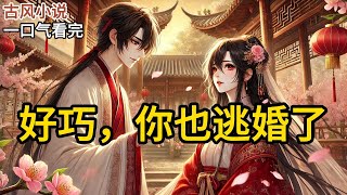 【完结】大婚当日，我重金聘请的替嫁风风光光上了花轿。我混在人群中看热闹。旁边看热闹的公子问我：「这是哪家接亲，排场这么大？」我吓得拔腿就跑。未婚夫你怎么《好巧，你也逃婚了》#有声小说 #小说 N249
