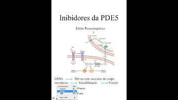Quais são os efeitos da adrenalina e da noradrenalina sobre o sistema cardiovascular?